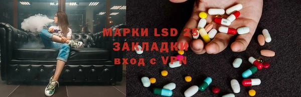 стафф Алзамай