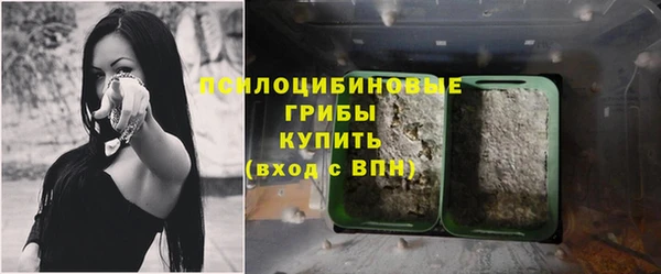 стафф Алзамай
