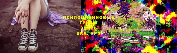 стафф Алзамай