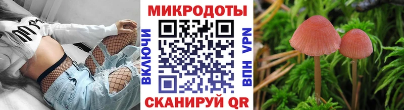 Галлюциногенные грибы Psilocybe Порхов